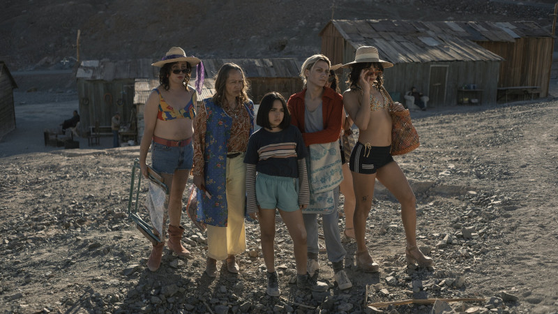 Le Mystérieux Regard du flamant rose