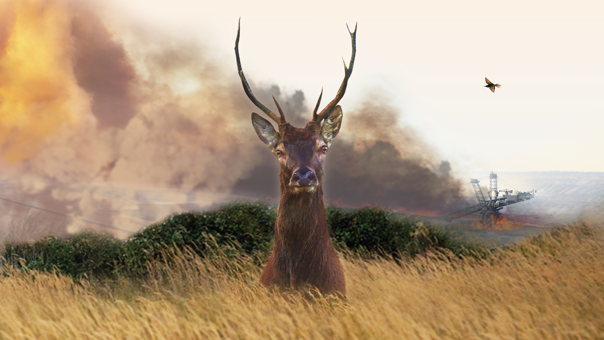 Le Vivant qui se défend