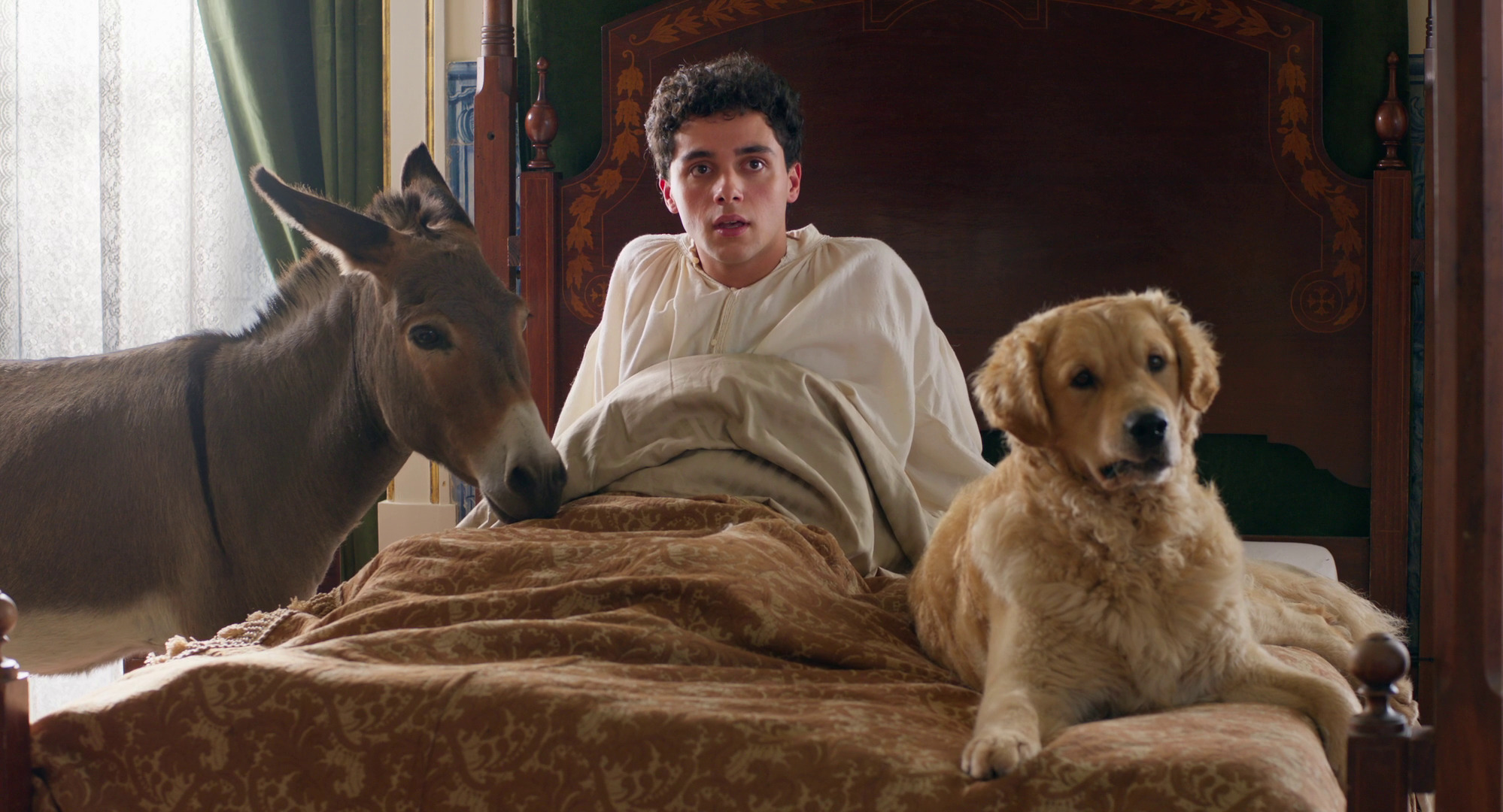 L’Arbre de la connaissance